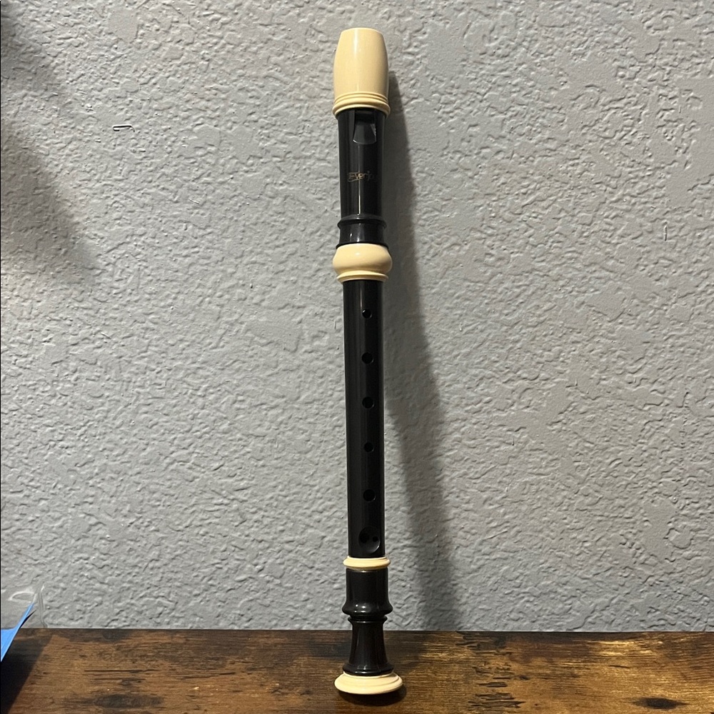 Black and Cream Recorder NWOT!!
